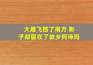 大雁飞回了南方 影子却留在了故乡阿诗玛